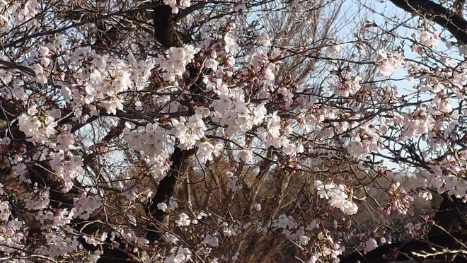 3月24日(火曜日)の生徒のようす20