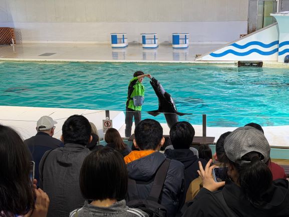 3年生修学旅行写真0423_06