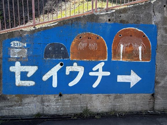 3年生修学旅行写真0423_08