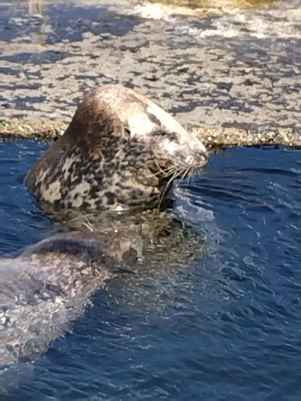 3年生修学旅行写真0423_09