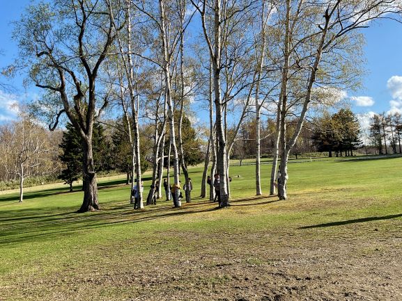 3年生修学旅行写真0423_18