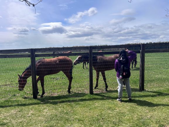 3年生修学旅行写真0424_05