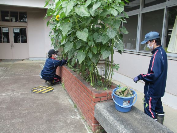 6月12日(金曜日)の生徒のようす11