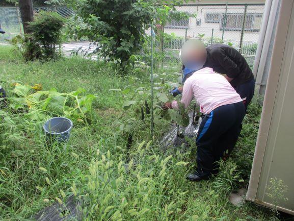 9月8日(火曜日)の生徒のようす14