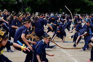 綱取り