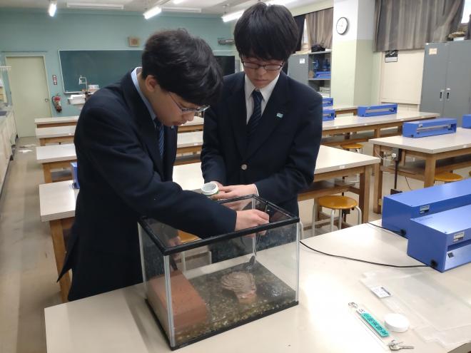 shizen6