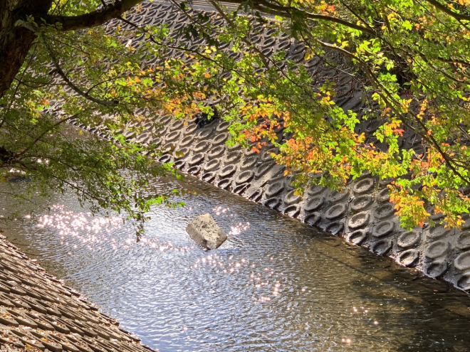 きらめく和泉川