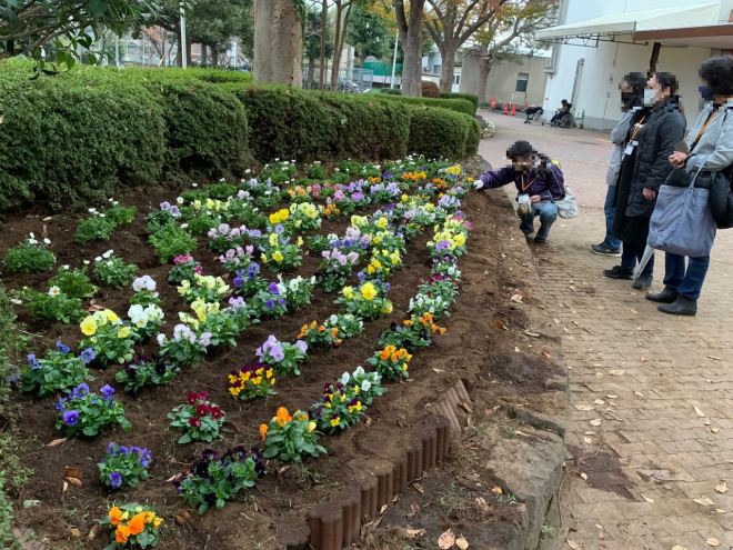 今回の花植え