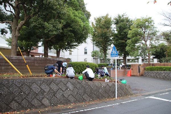 前回の花植え