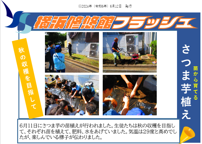 フラッシュ20240612