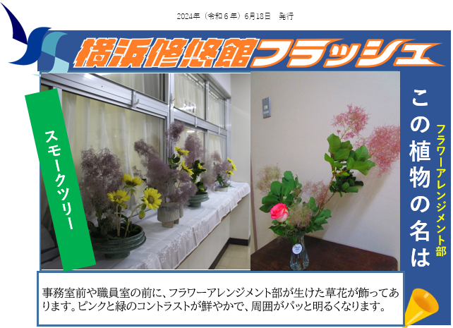 フラッシュ20240618