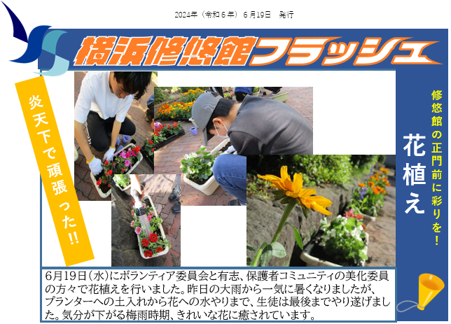 フラッシュ20240619