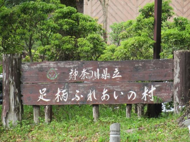 2025新入生オリ1