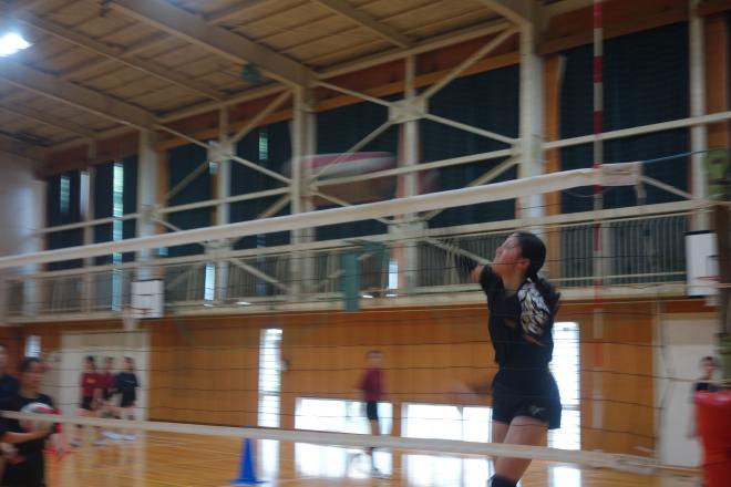 2026夏季合宿のバレーの様子