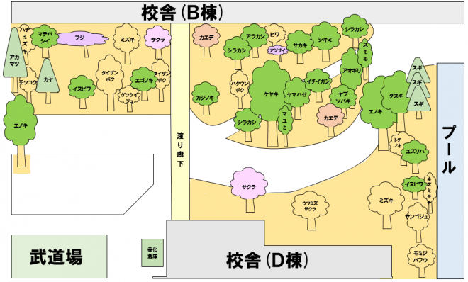 樹木分布図