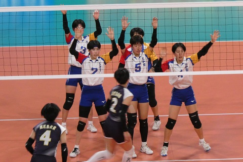 harukouc