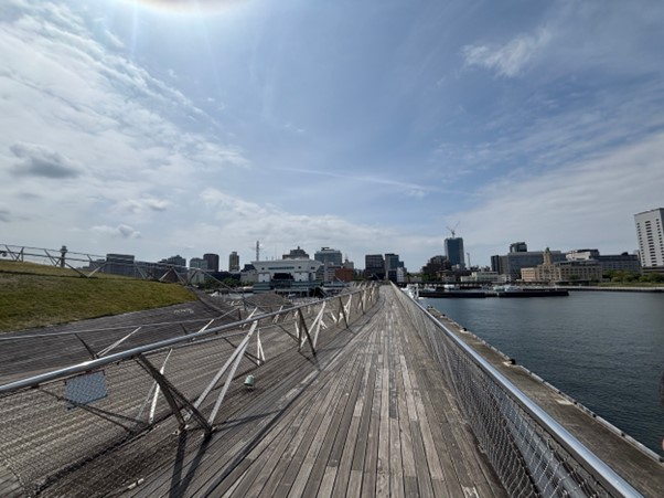 2025tarajusyakaikenngaku5