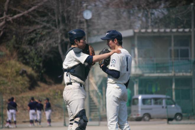 tanakasegawa