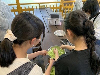 202404191nensalad