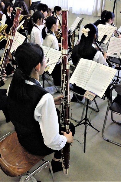 202506harp