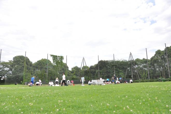 2022年夏に芝の植え替えを行いました