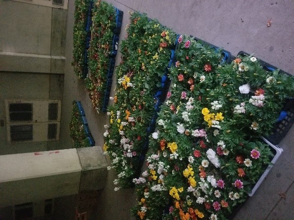 flower_road1