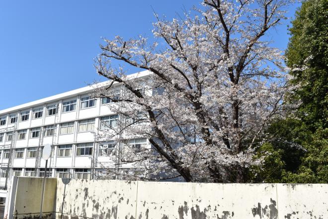 shigyoushiki2