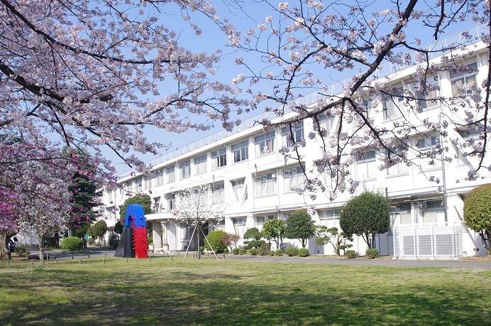 春　桜と校舎