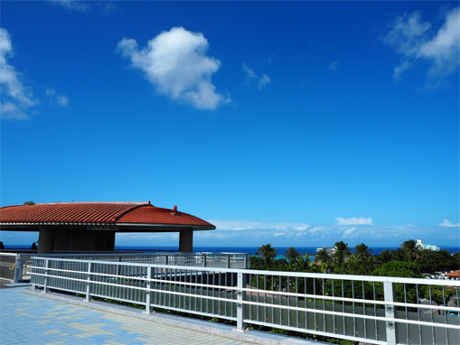 海洋博公園駐車場にて