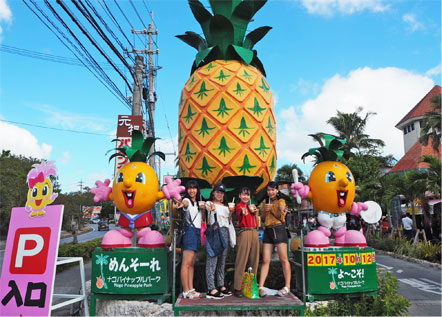 大きなパイナップルが目印