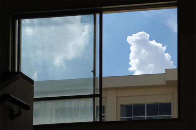 窓から見える入道雲