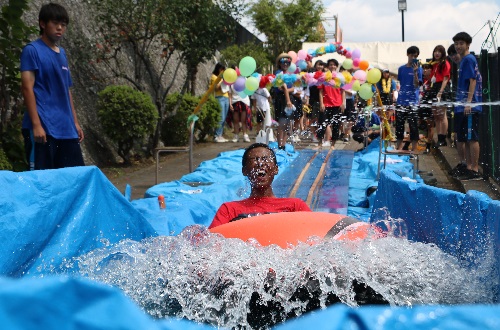 向日葵祭