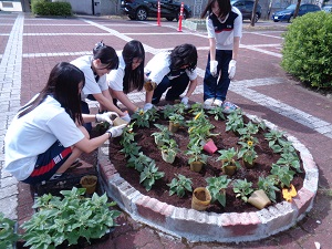 文化祭ひまわり2