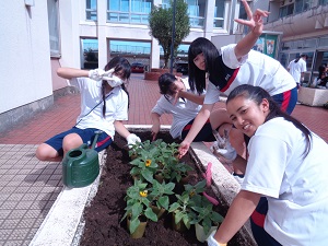 文化祭ひまわり3