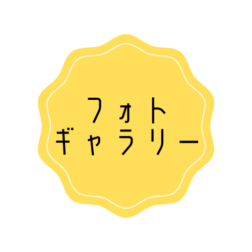 フォトギャラリー