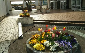 25花壇1