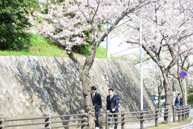 zushihayama-entrance-2025-10