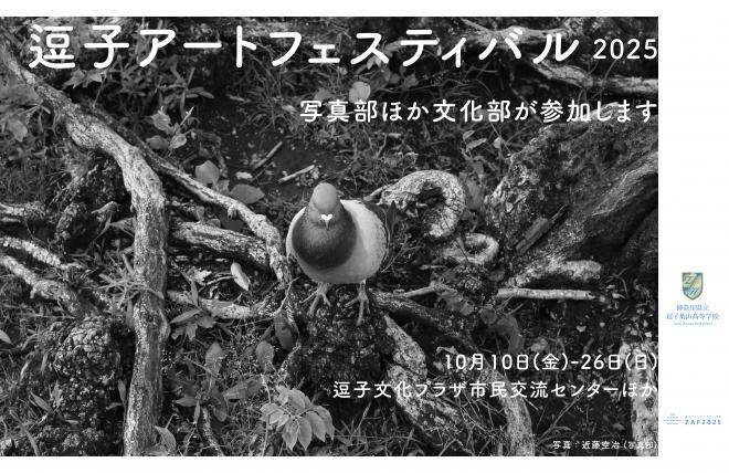 zushihayama-zaf-2025